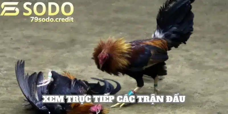 Hoạt động dịch vụ được xây dựng minh bạch và công bằng